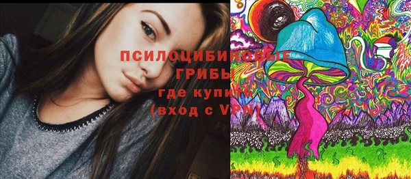 сатива Михайлов
