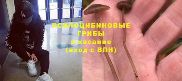 ГАЛЛЮЦИНОГЕННЫЕ ГРИБЫ Переславль-Залесский