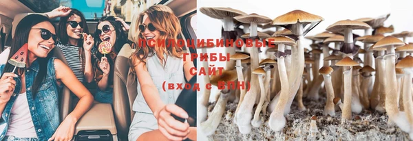 сатива Михайлов