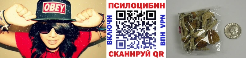 Галлюциногенные грибы мицелий  OMG ссылка  Новопавловск 