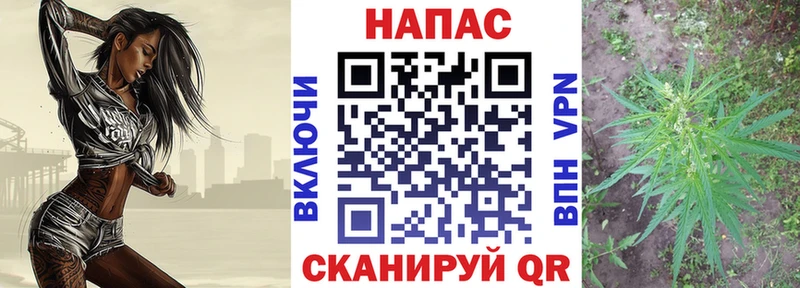 Каннабис конопля Новопавловск